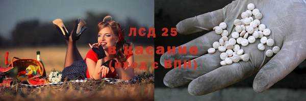 дживик Арсеньев