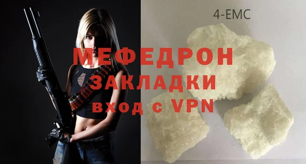индика Снежногорск