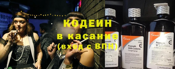 дживик Арсеньев