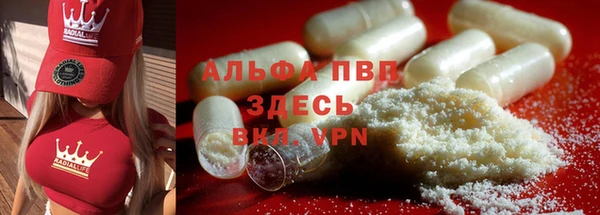 индика Снежногорск